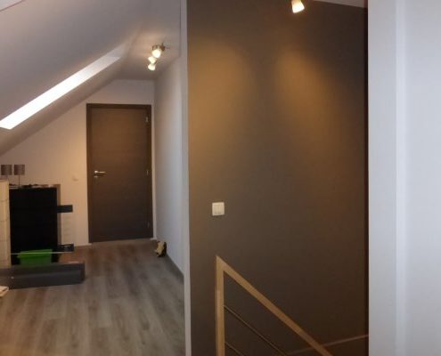 Pleisterwerken en gyproc en schilderwerk